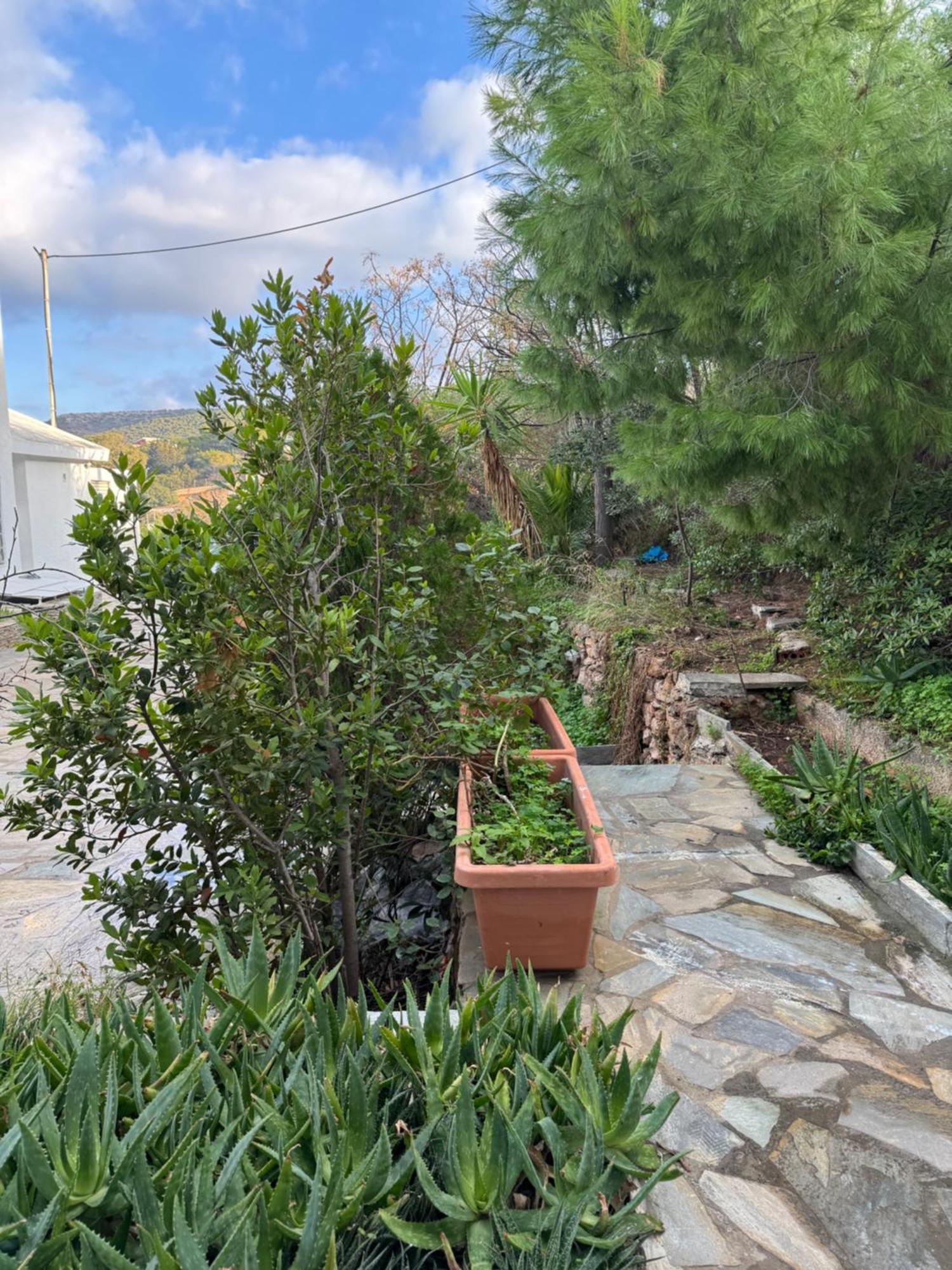 Sounio Studio Sunion Exteriör bild